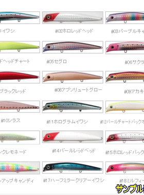 日本GAEA AREA EVO 10 路亚饵 Length:100mm Weight:11.5g