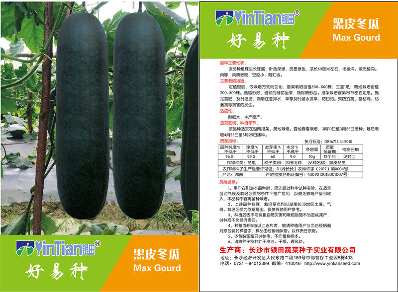 春播蔬菜种子 黑皮冬瓜种子包邮 银田种业好易种黑皮冬瓜种子