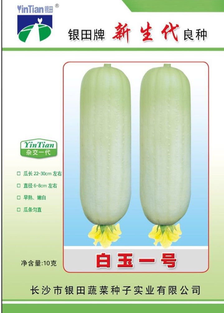 春播蔬菜种子包邮 高产白丝瓜籽子 银田种业白玉一号白丝瓜种子