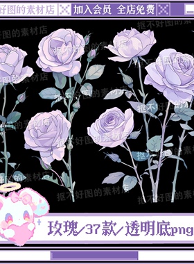 玫瑰花紫色花朵花枝玫瑰花透明底png图片原创美工设计水印素材