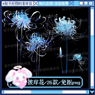 蓝色彼岸花花朵花束装饰点缀免抠png图片可商原创美工设计海报