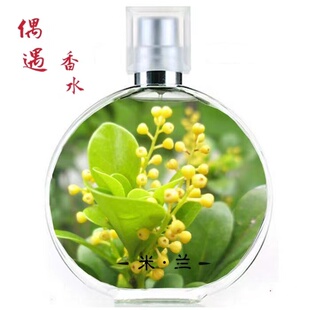 偶遇私家原创正品米兰花清新淡香水 简装女式兰树兰花女士香水