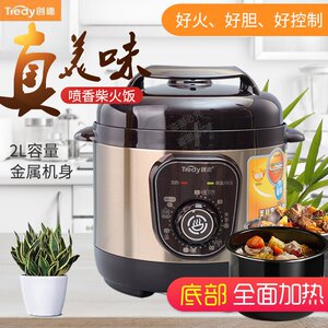 Tredy/创迪 YBD20-60C3电压力锅2L机械款多功能电炖锅2-3人家用锅