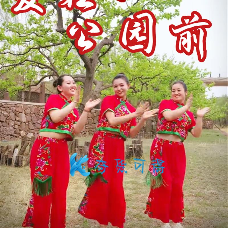 送扇子新款东北服演出服女2025新款手绢秧歌胶州短袖大花布衣服套