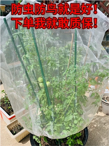 Прозрачная белая марля сетевая крышка, покрываемая птицами и насекомыми -защищенными фруктовыми деревьями, садоводство анти -хол -болезнь, вредители, комары, фруктовые мухи, пчелиные пчелы