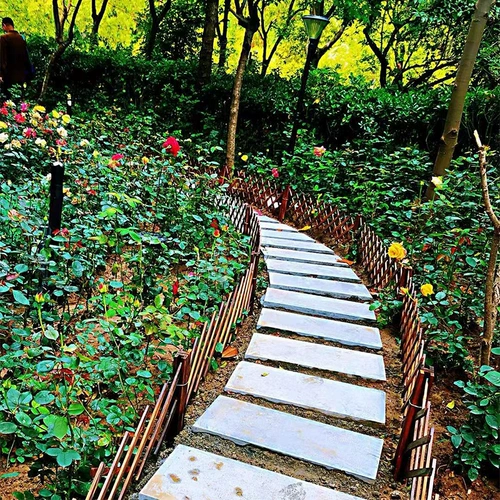 Коррупционная вилка -в деревянном заборе сад сад сад сад сад сад сад сад сад сад деревянный забор телескопический скалолаза