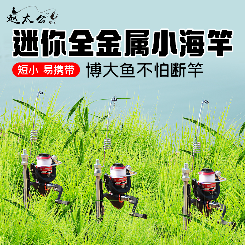 一体加厚全金属插地式钓竿迷你便携短节金属弹簧鱼竿海竿冰钓竿