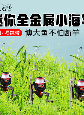 一体加厚全金属插地式钓竿迷你便携短节金属弹簧鱼竿海竿冰钓竿