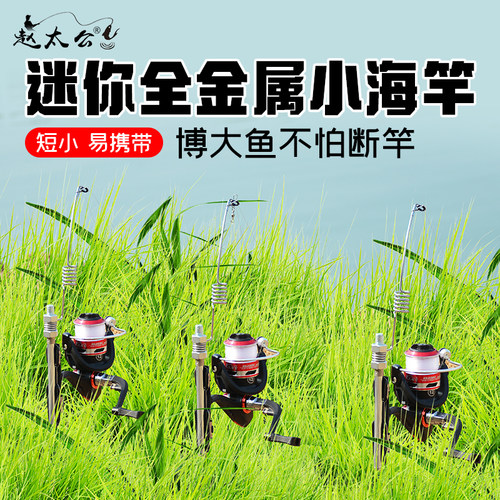 一体加厚全金属插地式钓竿迷你便携短节金属弹簧鱼竿海竿冰钓竿