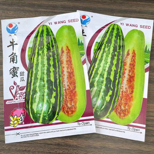 甜瓜种籽牛角蜜瓜籽超甜花皮甜瓜种子香瓜种孑四季春菜园阳台盆栽