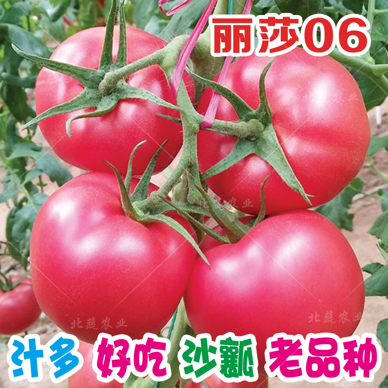 西红柿种子粉果大果番茄种籽沙瓤好吃毛粉柿子籽耐裂大棚露天丽莎,鲜花速递/花卉仿真/绿植园艺,家庭园艺种子,淘宝优惠券,粉丝福利购,淘宝优惠卷