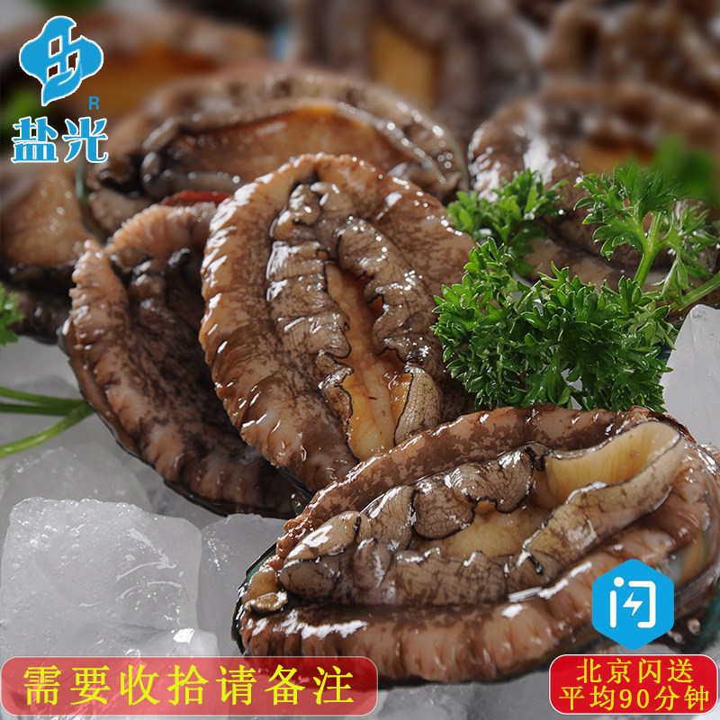 深海新鲜鲜活大连鲍鱼5只装 七孔鲍大个贝壳活体非冷冻加工请备注