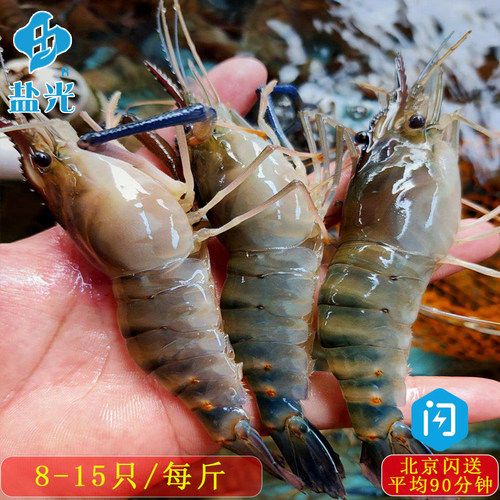鲜活罗氏大头虾500g淡水北京闪送