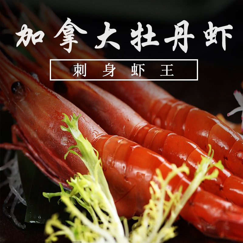 加拿大牡丹虾1kg 25-33 三文鱼伴侣日料寿司料理甜虾