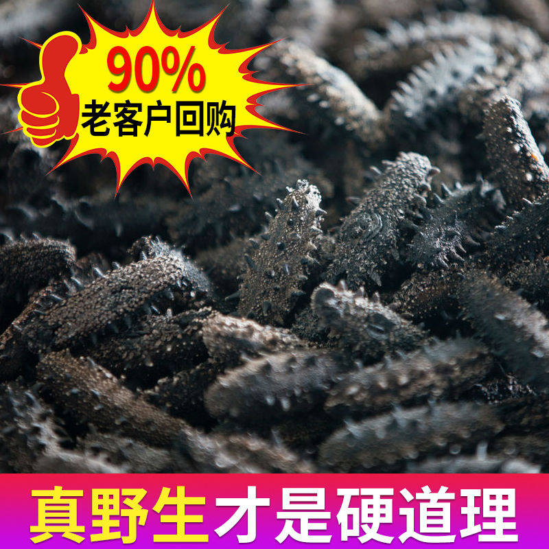 海参干货大连山东刺参辽参淡干50g纯野生10份500克干60头烟台海渗