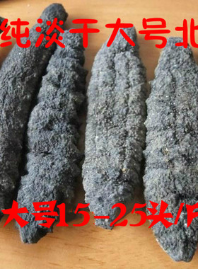 野生海参海参进口土耳其野生刺参