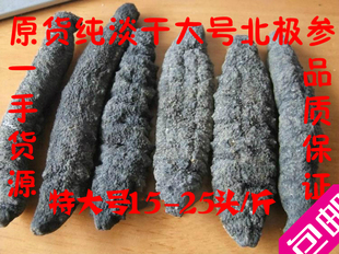 北极海参特大号进口土耳其加拿大野生纯淡干原货有小刺参500克