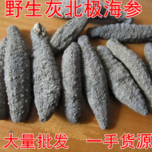 进口野生灰北极海参土耳其加拿大南美淡干海刺参干货特价500G包邮