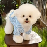 Одежда для собак на тяге, Тедди Бишон, кошка, маленькая собака, осенняя и зимняя одежда для домашних животных, йоркширский шнауцер VIP