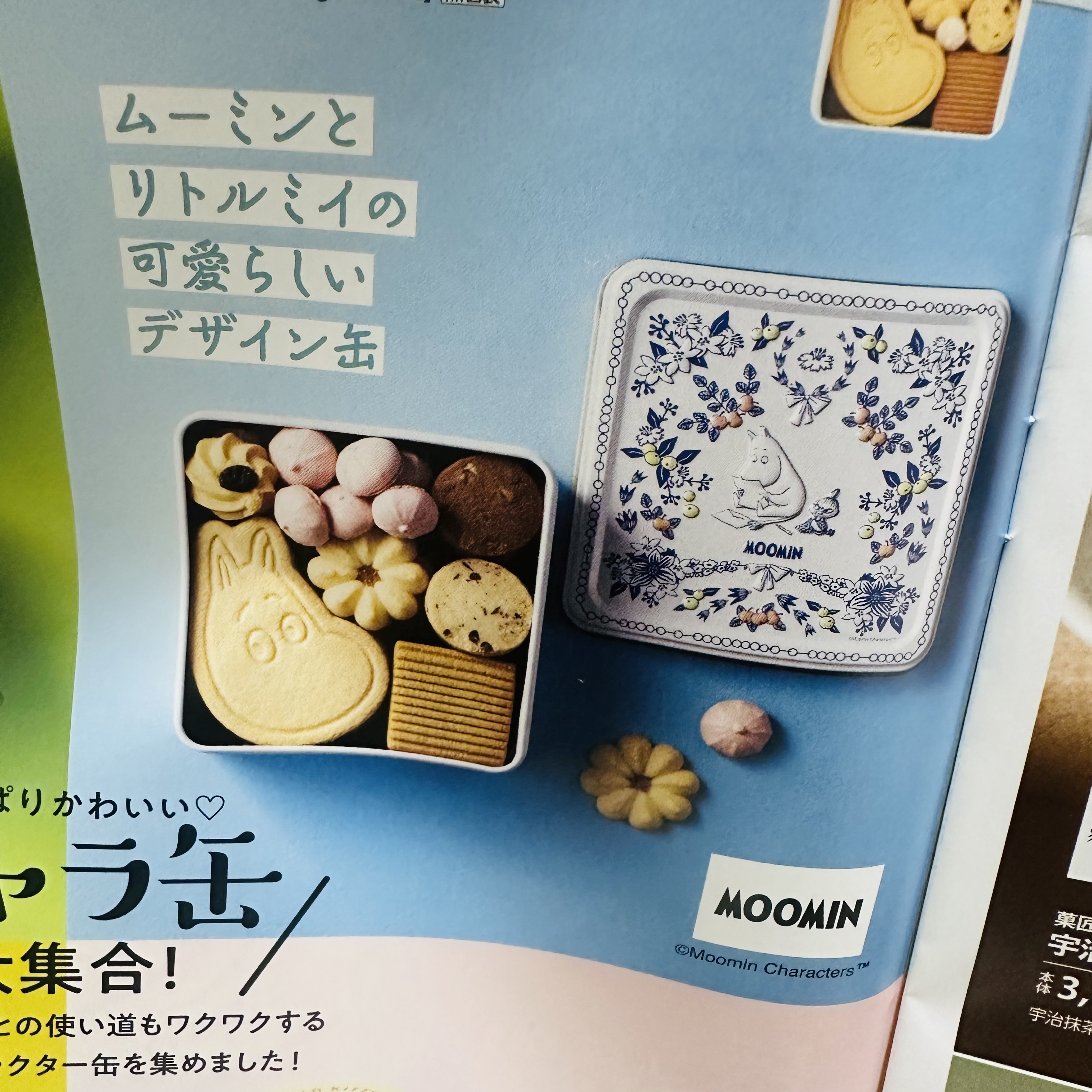 订购日本Moomin姆明铁罐铁盒曲奇饼干多种口味165 g满200包直邮