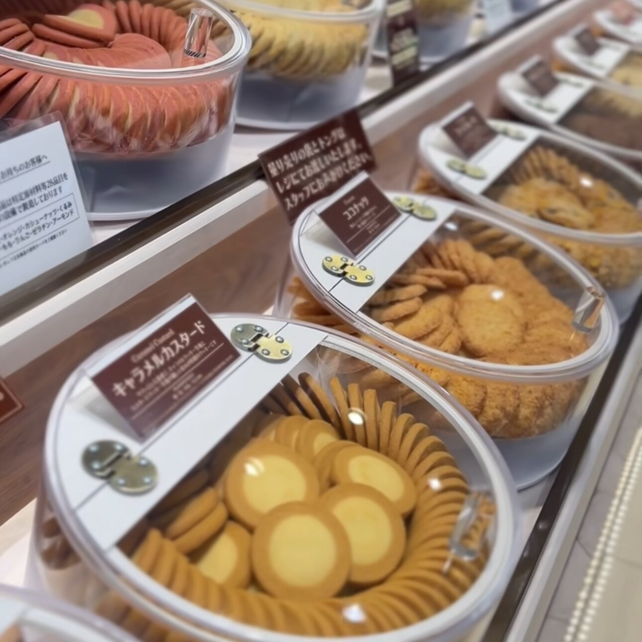 散称【万圣节老奶奶】史黛拉阿姨 日本新鲜现做曲奇饼干6片以上起