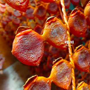 日本新年柿干和歌山串柿 想不到柿子可以这样吃 2026马年如意