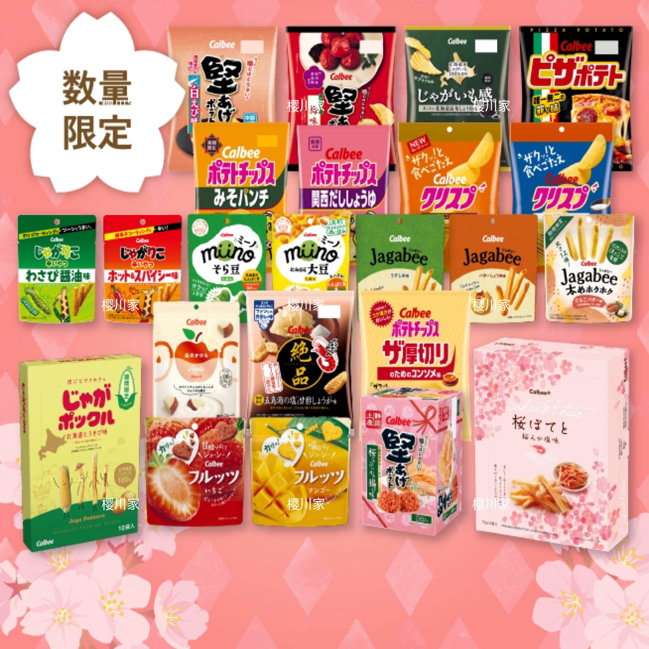 合集 日本卡乐比抹茶苹果干 北海道薯条巧克力三兄弟Calbee零食