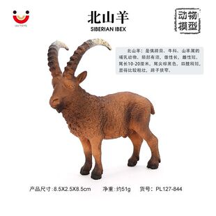 仿真野生动物模型西伯利亚北山羊红羊羱羊儿童认知塑胶玩具摆件