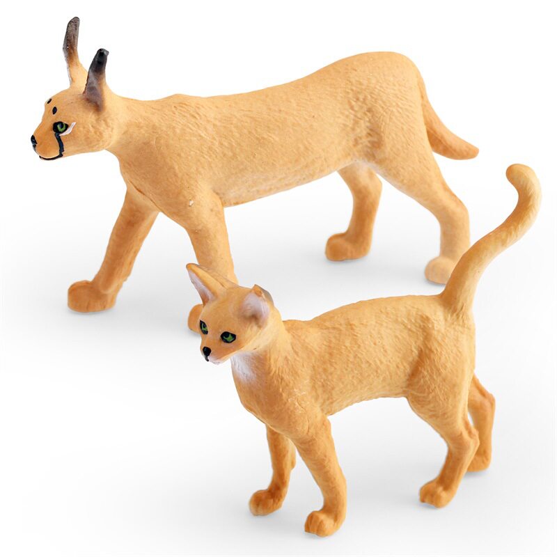 仿真野生动物母狞猫阿比西尼亚猫模型儿童认知装饰摆件玩具