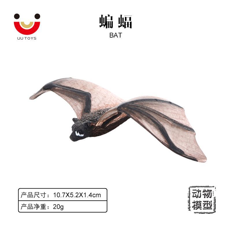 仿真野生动物模型蝙蝠天蝠飞鼠塑料静态玩具儿童科教认知手办摆件