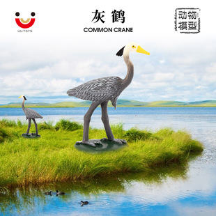 仿真动物实心模型鹤飞禽鸟类动物玩具模型灰鹤儿童科教认知摆件