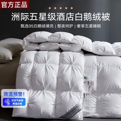洲际酒店专用95%白鹅绒软冬被