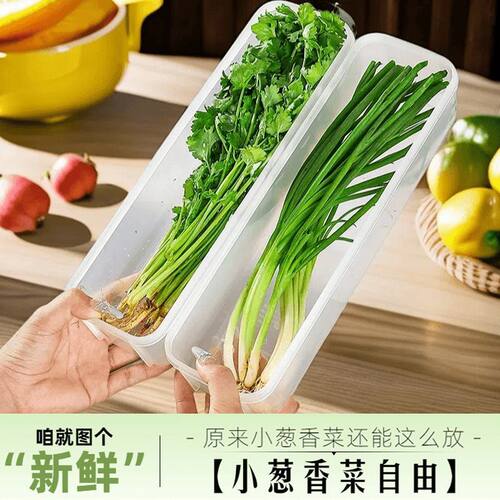 香菜小葱收纳盒保鲜密封