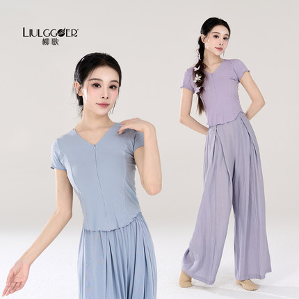 柳歌现代舞短袖上衣女2025新款舞蹈服成人舞蹈专用练功服日常可穿