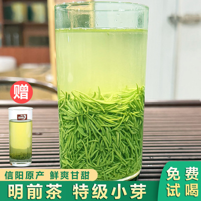 信阳毛尖明前茶2025新茶特级嫩芽初芽绿茶浓香型口粮茶叶250g散装