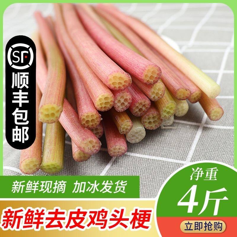 鸡头梗新鲜湖北芡实梗非藕尖洪湖新鲜苞梗鸡头菜芡实梗顺丰2