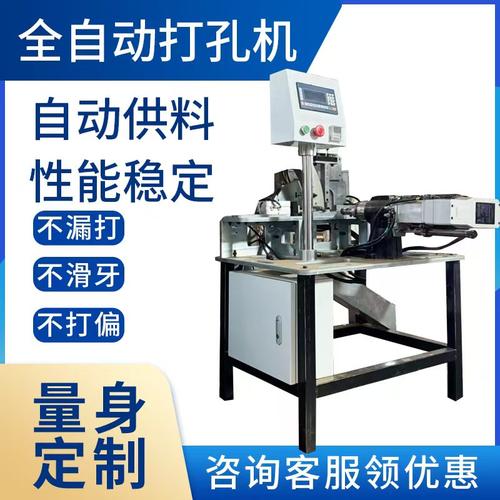 非标全自动打孔机打针机自动供料