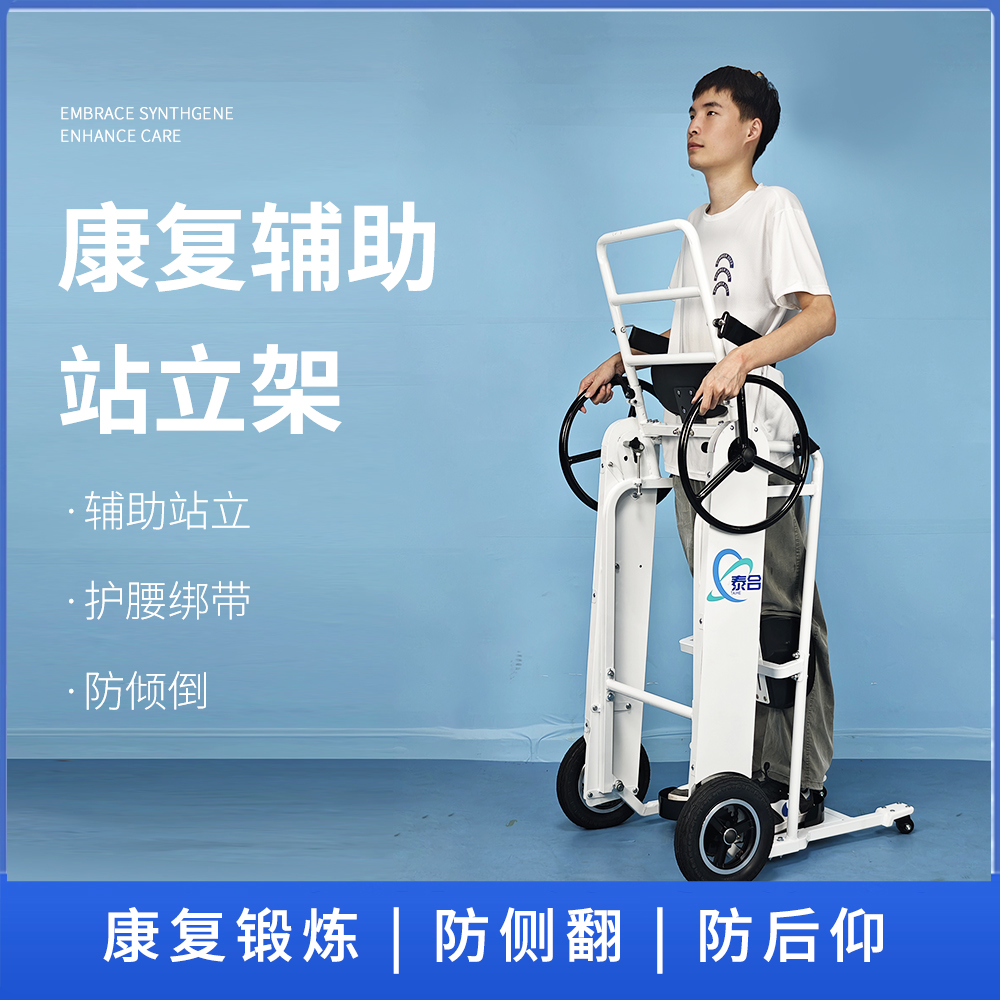 泰合残疾人辅助学步康复训练器材