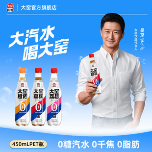 大窑嘉宾0糖汽水0脂肪0千焦气泡水饮料450mL