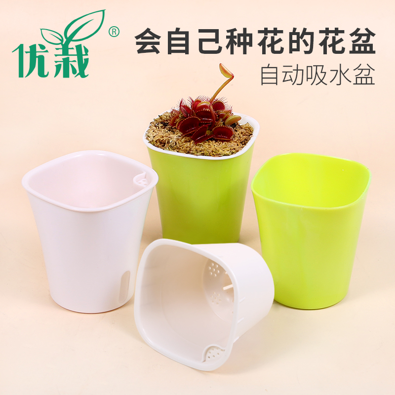 花盆食虫植物简约风时尚吸水盆