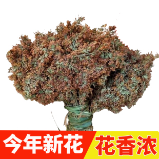 贵州2024年密蒙花新鲜染饭花糯米花植物染料花米饭野生黄饭花特产