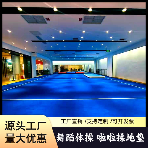 啦啦操卷垫健美体操垫艺术舞蹈垫