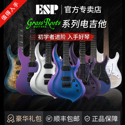 ESP电吉他进阶单摇/双摇