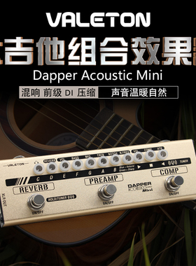 Valeton Dapper Acoustic Mini 原声木吉他单块综合效果器