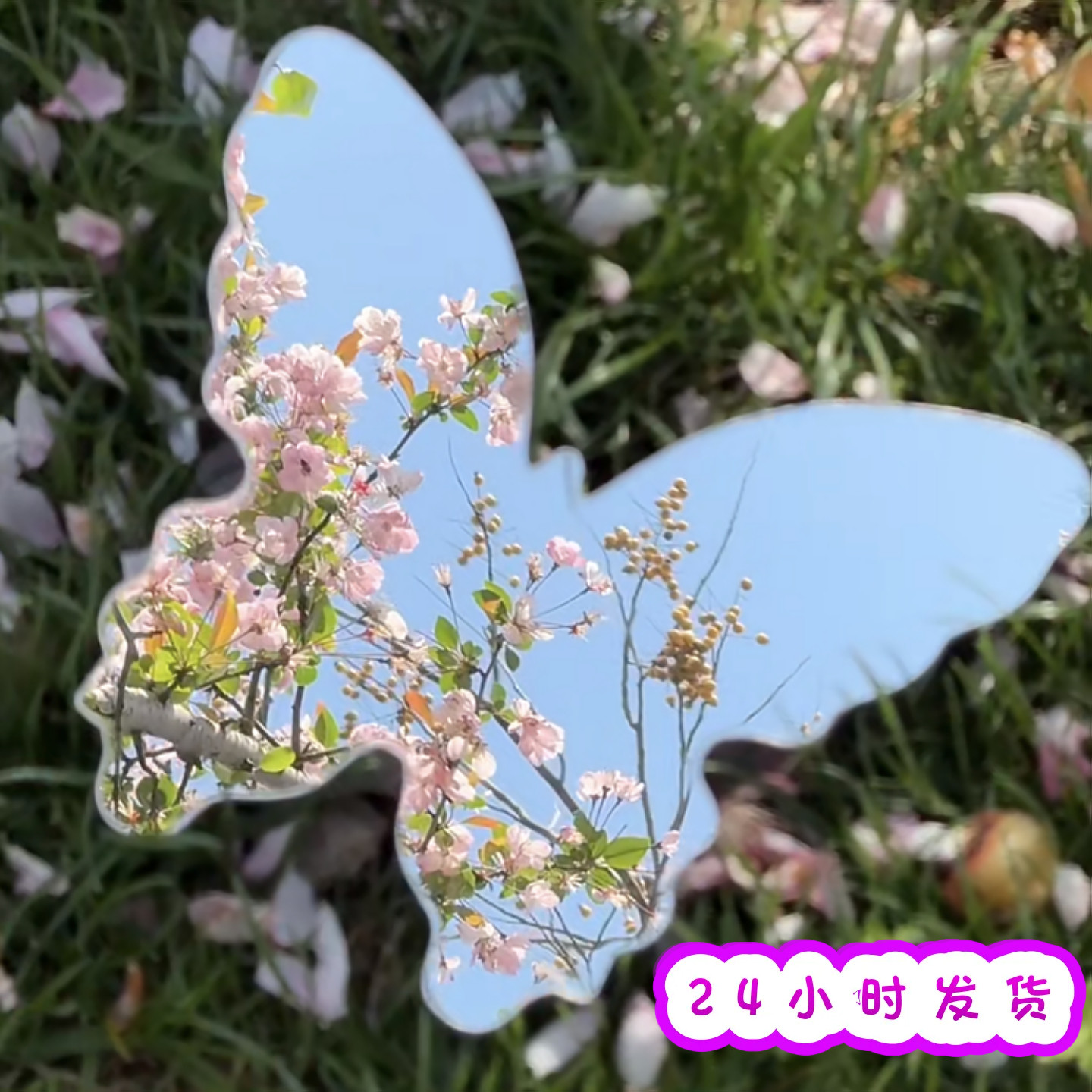 蝴蝶形状镜子不规则镜子