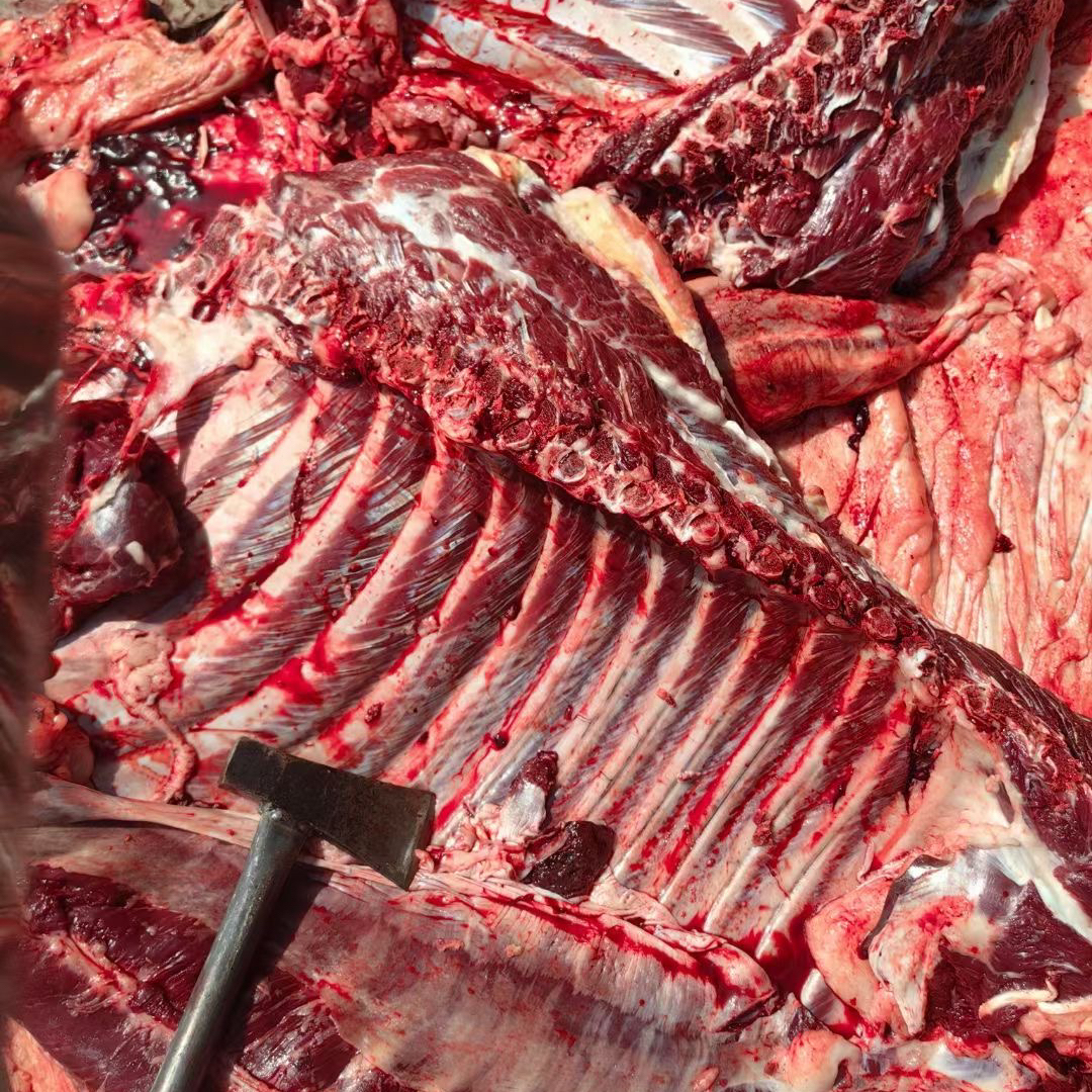 驴排骨新鲜带皮生驴肉驴肋条带骨头驴排5斤现宰条包装饭店商用