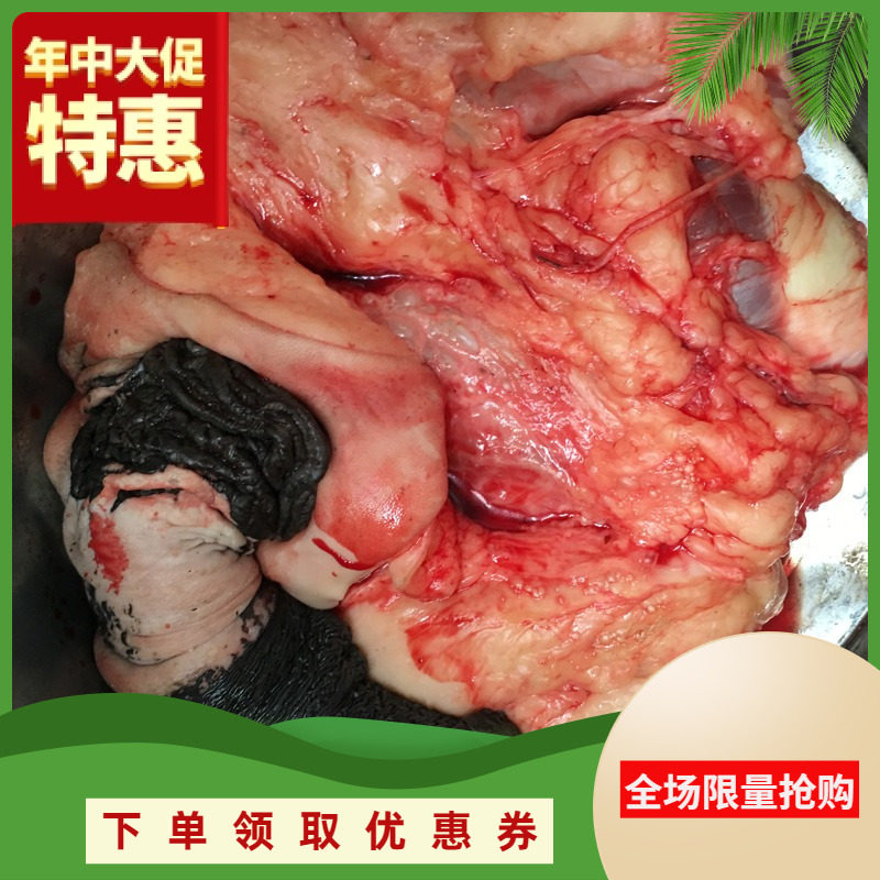 驴鞭新鲜带睾丸现宰泡酒驴宝生驴鞭鲜金钱肉驴腰子真空包装送料