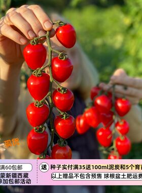 疯狂的小羊超级甜抗裂