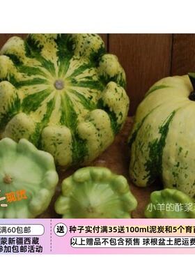 【种子】法国传家宝  嫩西葫芦 奶油绿色 5粒