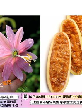 疯狂的小羊香蕉百香果